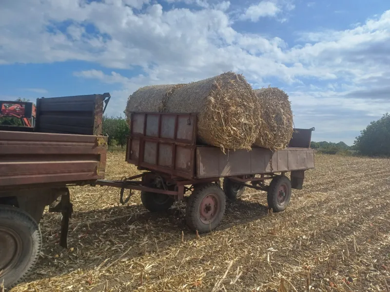 KUKURUZOVINA NA PRODAJU
