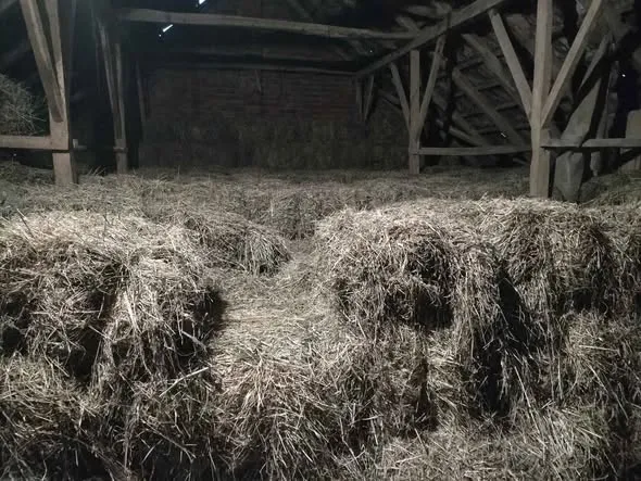 prodajem livadsko seno