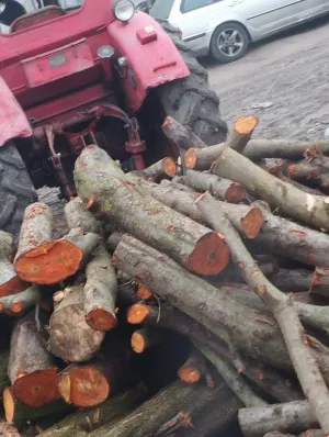 na prodaju drva - thumbnail 3