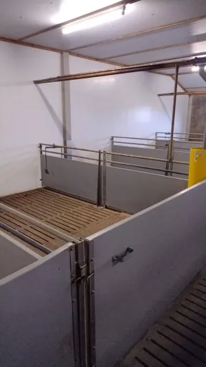 pregrade za tov i za prasice - thumbnail 2