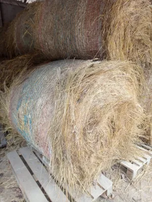 Livadsko seno - thumbnail 1