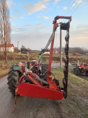 Kosačica - thumbnail 2