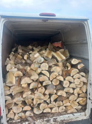 Prodajem drva - thumbnail 1