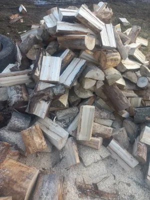 Prodajem drva - thumbnail 2