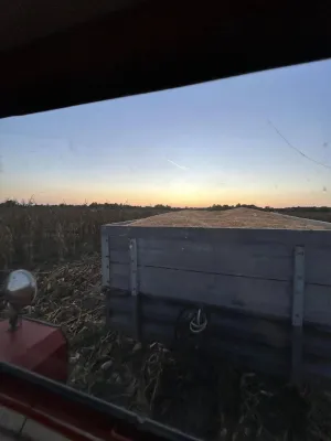 Kukuruz - thumbnail 2