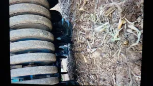 Žitni sejač - thumbnail 2