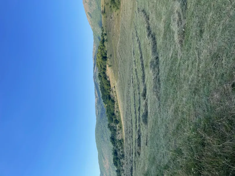 Livadsko seno 