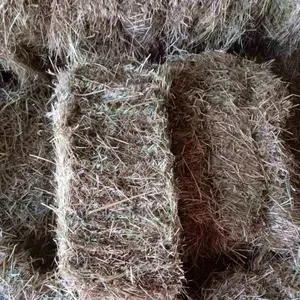 Livadsko seno - thumbnail 1