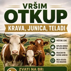 Otkup krava, junica, teladi i ovaca - thumbnail 1