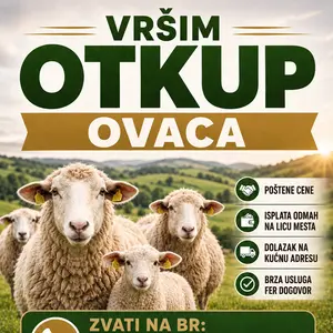 Otkup krava, junica, teladi i ovaca - thumbnail 2