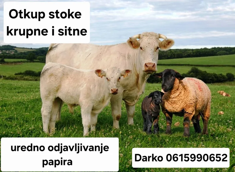 Otkup stoke