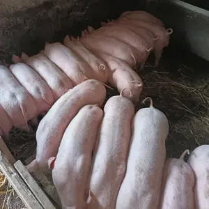 Prasad - thumbnail 2