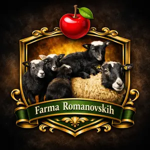 Romanovske ovce jagnjad - thumbnail 6